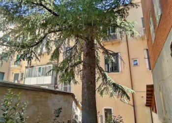 Foto 15 - Semi-detached house Via Milano
 
3, Campobasso - photo 15