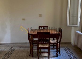 WhatsApp Image 2026-06-20 at 15.42.51 (14) - Two-room apartment Via delle Casine 22, Firenze (neighborhood Santa Croce) - photo 8