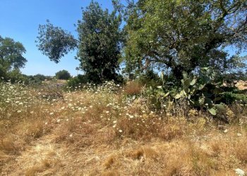 WhatsApp Image 2026-06-20 at 10.01.11 (4) - Rustic Crocevia Cava Ispica 226, Modica - photo 4