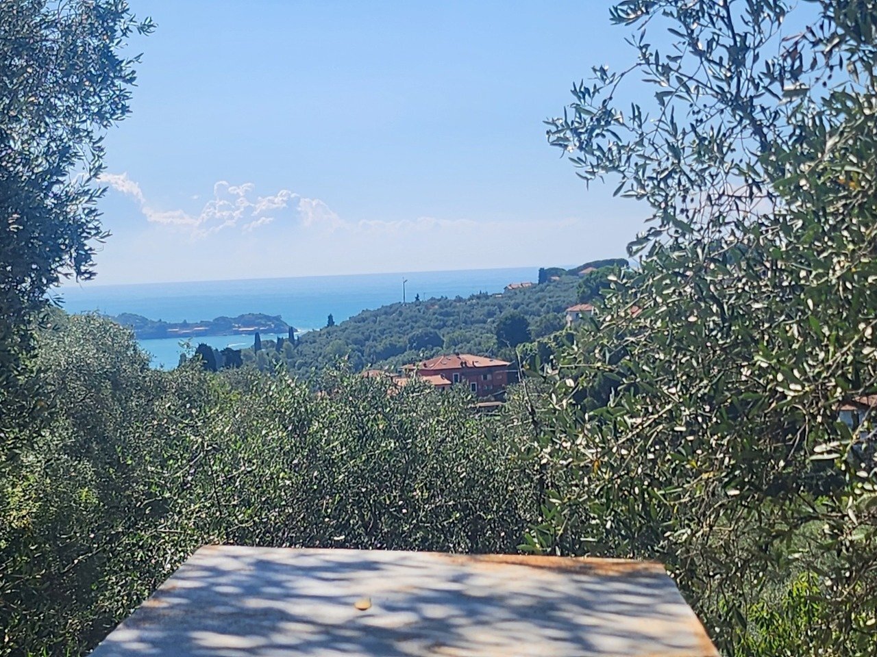 1000123482.jpg - Agricultural land Lerici - photo 1