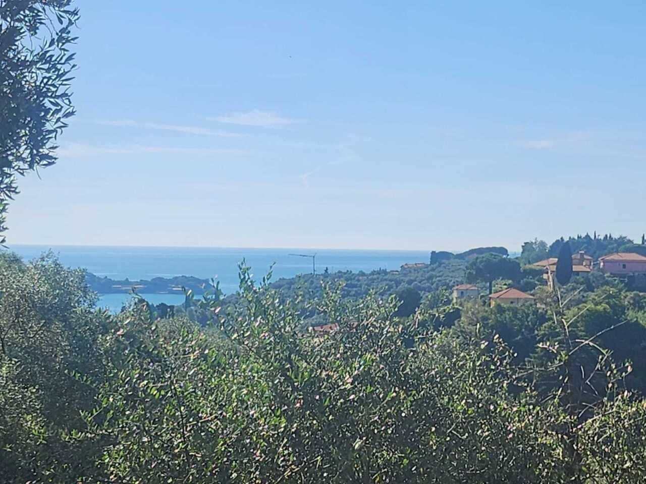 WhatsApp Image 2025-09-19 at 11.23.13(5).jpeg - Agricultural land Lerici - photo 2