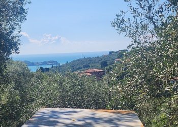 1000123482.jpg - Agricultural land Lerici - photo 1