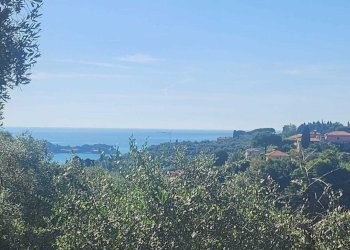 WhatsApp Image 2025-09-19 at 11.23.13(5).jpeg - Agricultural land Lerici - photo 2