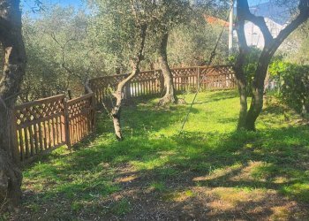 WhatsApp Image 2025-09-19 at 11.23.13(4).jpeg - Agricultural land Lerici - photo 5