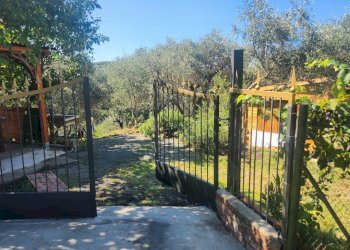 1000123491.jpg - Agricultural land Lerici - photo 6