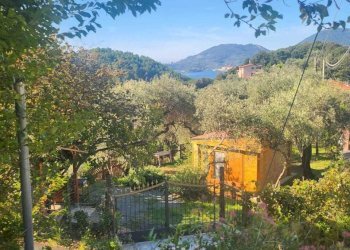WhatsApp Image 2025-09-19 at 11.23.09(1).jpeg - Agricultural land Lerici - photo 7