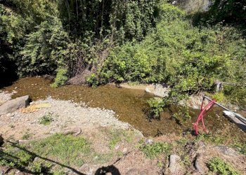 lu29 - Terratetto - Terracielo Luni - foto 29