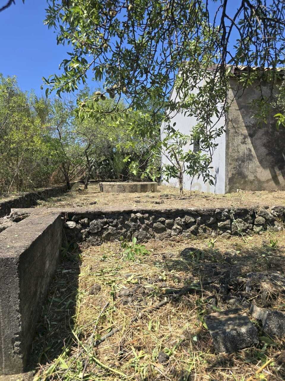 4 - Villa Via Panebianco 20, Castiglione di Sicilia - photo 2
