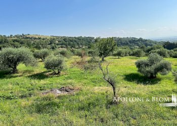 Casale Via Ferruccio Parri, 10, Montepulciano - foto 13