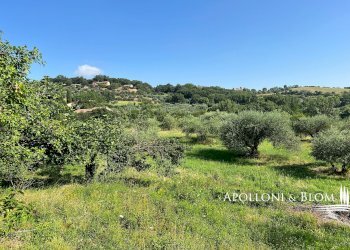 Casale Via Ferruccio Parri, 10, Montepulciano - foto 14