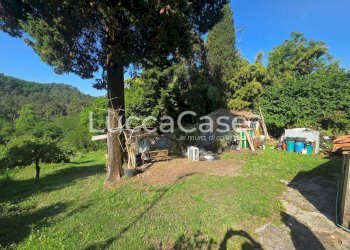 Independent house Camaiore - photo 12