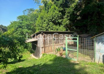 Independent house Camaiore - photo 14
