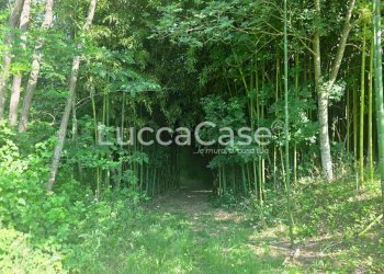 Independent house Camaiore - photo 15
