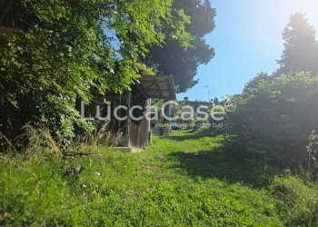 Independent house Camaiore - photo 16