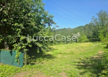 Independent house Camaiore - photo 17