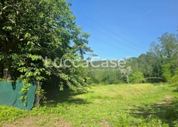 Independent house Camaiore - photo 18