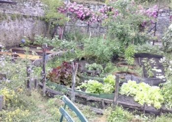 Rustic via teresa tarchetti, 6 
 Cannero Riviera, Cannero Riviera - photo 28