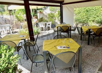 Attività Commerciale Gonte (capoluogo), Oggebbio, Oggebbio - foto 3
