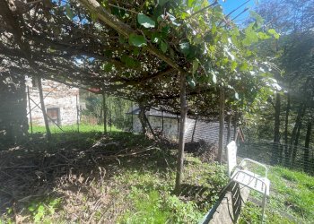 Baita via provinciale
Gurro, VB, Gurro - foto 15