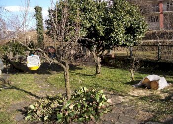 Casa indipendente Trarego Viggiona, VB, Trarego Viggiona - foto 5