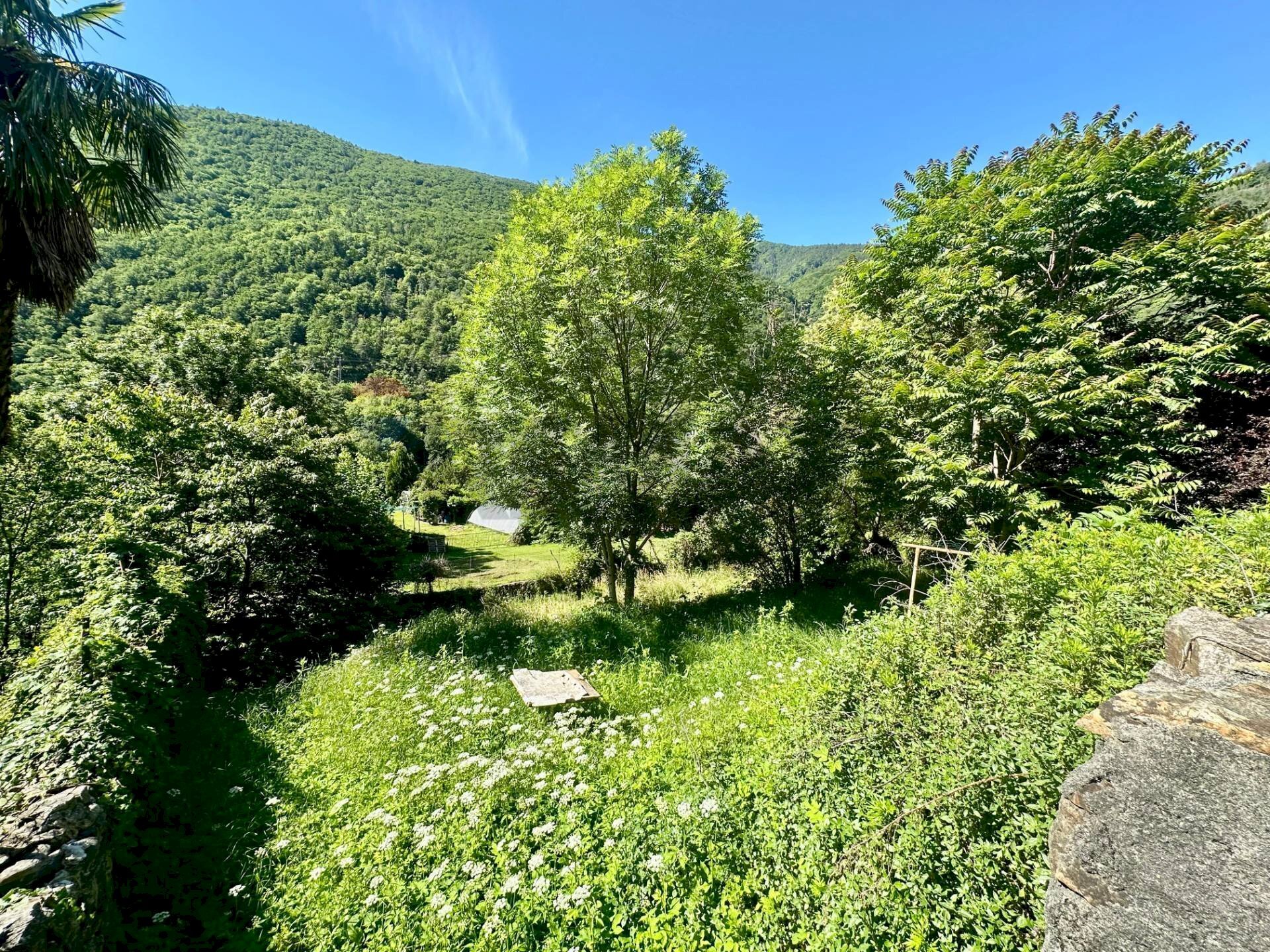 Building land Cannobio, VB, Cannobio - photo 2