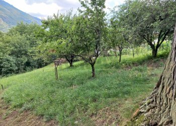 Baita Valle Cannobina, VB, Valle Cannobina - foto 17