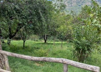 Baita Valle Cannobina, VB, Valle Cannobina - foto 18