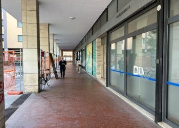Quadrilocale Via Adelaide Ristori, Bologna (zona San Donato) - foto 14