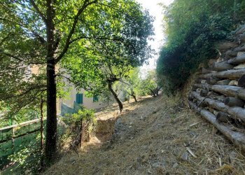 Quadrilocale Salita Chiapparolo, Genova (zona Quezzi) - foto 36
