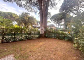 Four-room apartment Viale dei Ligustri, Ravenna (neighborhood Marina Romea) - photo 16
