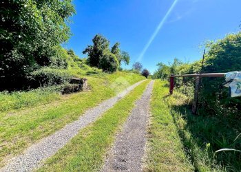 Casa indipendente Località Cascina Gerbido, Montiglio Monferrato - foto 7