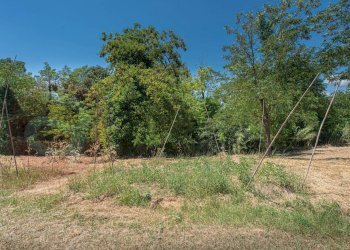 Foto 52 - Rustico Via Campostefano, Arce - foto 52