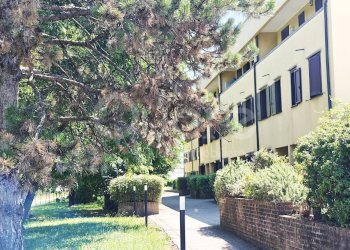 Foto 20 - Apartment VIA NODARI
 
40, Udine - photo 20