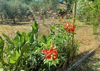 Foto 40 - Casa indipendente via Cavatelle
 
5, Castro dei Volsci - foto 40