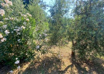 Foto 41 - Casa indipendente via Cavatelle
 
5, Castro dei Volsci - foto 41
