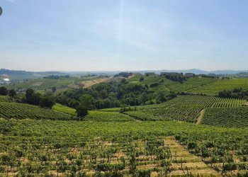 Foto 57 - Villa frazione ceriole, Canelli - photo 57