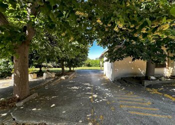 Foto 50 - Rustico CONTRADA MOLINI GIROLA, Fermo - foto 50