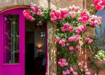 Dettagli - Villa Via Cozzarelle
 
91, Trecastagni - photo 31