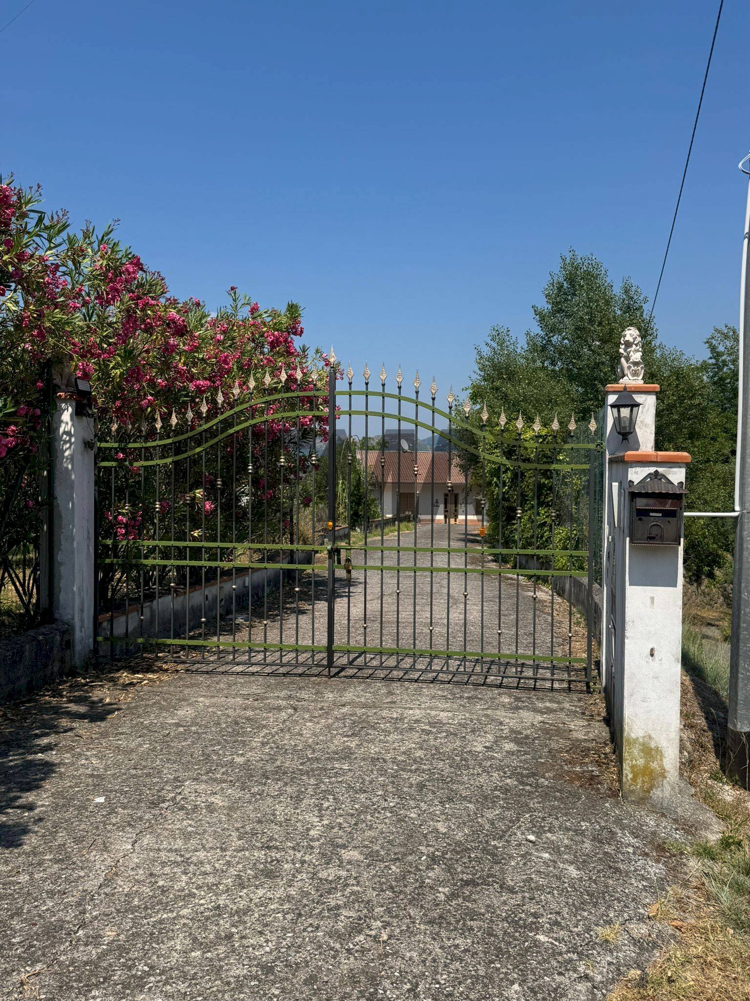 Giardino - Casa indipendente CONTRADA MELIA - PIETRAZZE
 
SN, Gualtieri Sicaminò - foto 1