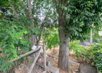 Giardino - Independent house Via Aldo Moro
 
24, Nicolosi - photo 7