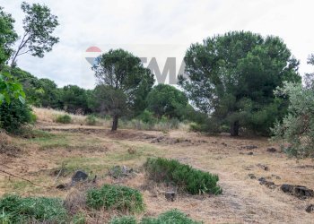 Giardino - Independent house Via Aldo Moro
 
24, Nicolosi - photo 23