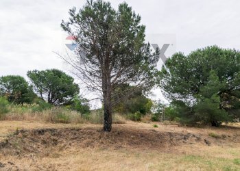 Giardino - Independent house Via Aldo Moro
 
24, Nicolosi - photo 31