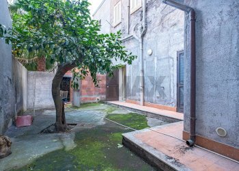 Giardino - Casa indipendente viale libertà
 
60, Paterno - foto 6