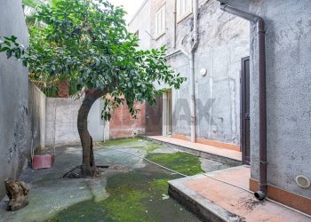 Giardino - Negozio via circumvallazione
503, Paterno - foto 22