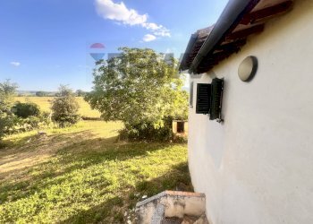 Giardino - Casa indipendente LOC FONTE D'ORO
 
59, Montefalco - foto 18