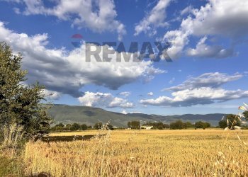 Vista delle montagne - Casa indipendente LOC FONTE D'ORO
 
59, Montefalco - foto 37