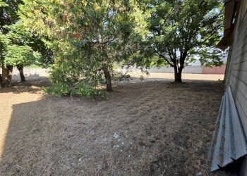 Giardino - Building land Via G.Galilei
15, Sannazzaro de' Burgondi - photo 14