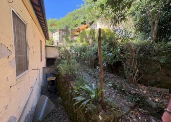 Giardino - Independent house Via del Casino 44 46 48 Ponte a Serraglio
 
44 46 48, Bagni di Lucca - photo 24