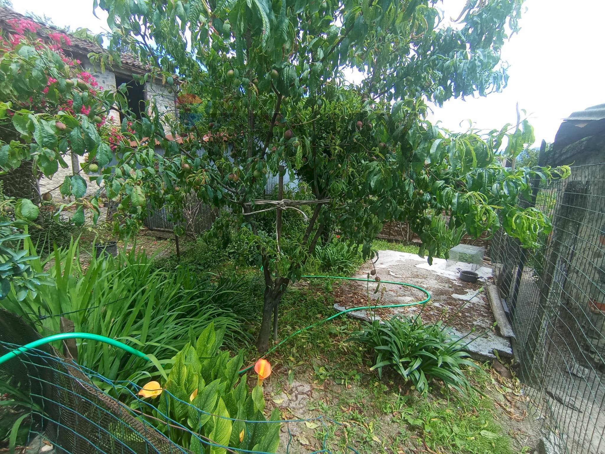 Giardino - Casa semi indipendente LOCALITà FONDO COSTA
3, Coreglia Antelminelli - foto 3