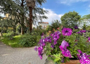 Giardino - Villa VIA NUOVA COLLE DI COMPITO
 
224, Capannori - photo 71